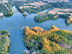 落实部分监管义务和企业从体义务